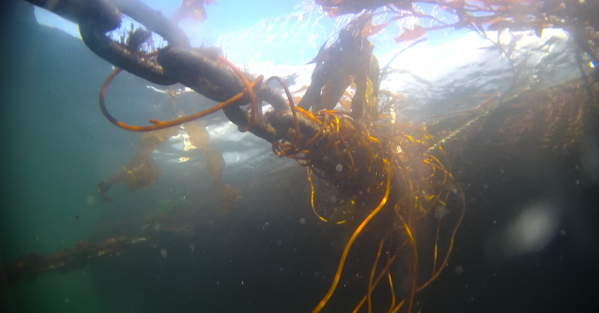 Líneas de Fondeo — Tiburov Robótica Submarina