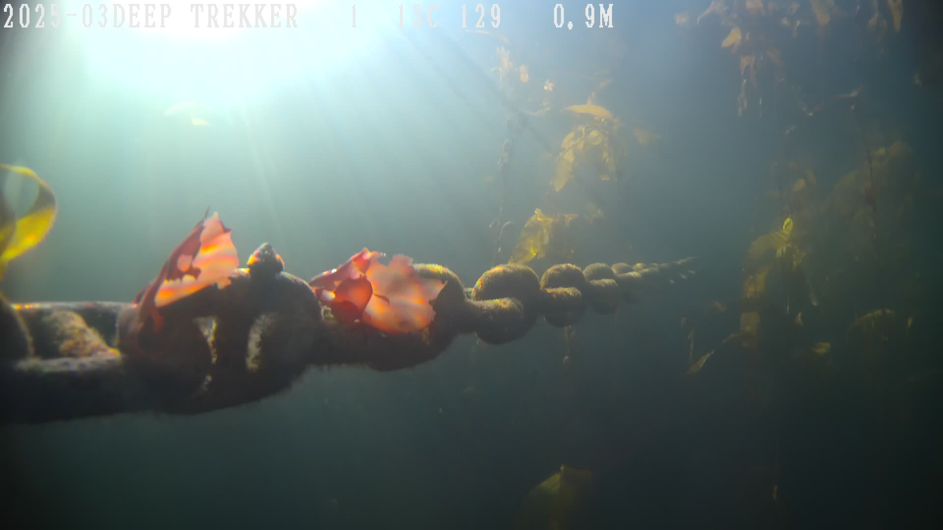 Líneas de Fondeo — Tiburov Robótica Submarina