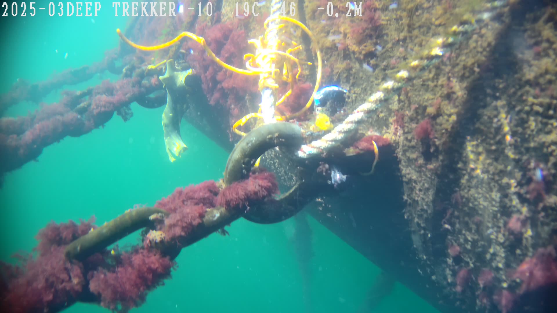 Líneas de Fondeo — Tiburov Robótica Submarina