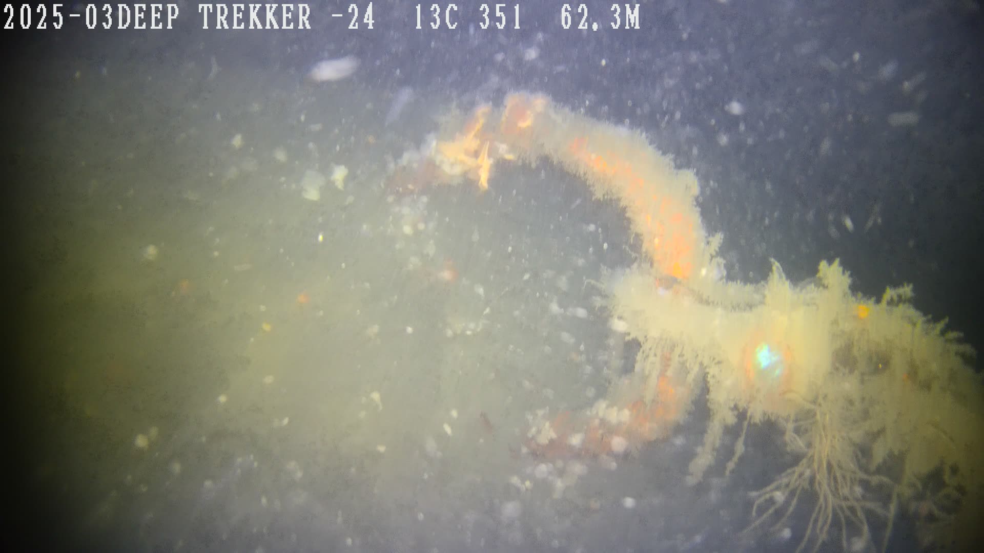 Líneas de Fondeo — Tiburov Robótica Submarina